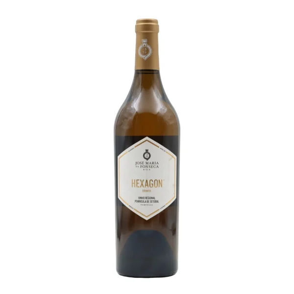 hexagon-white-2014-1.webp