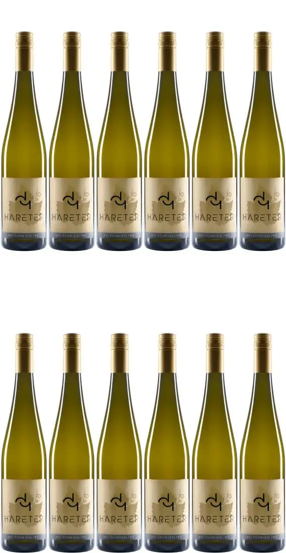 welschriesling-der-sommerwein-weingut-dieter-yvonne-hareter-1.webp